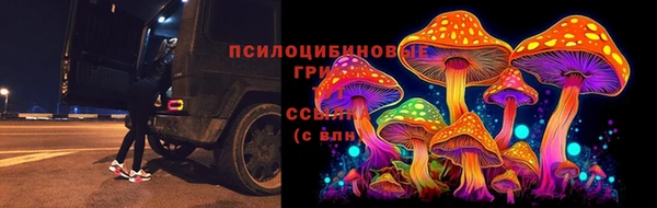 тгк Арсеньев